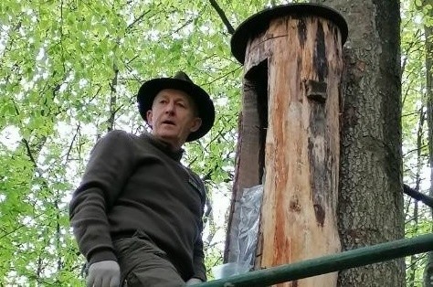 Krzysztof Łunkiewicz z Nadleśnictwa Warcino podczas instalacji barci kłodnej Krzysztofa Startka z Reblina w Gminie Kobylnica.