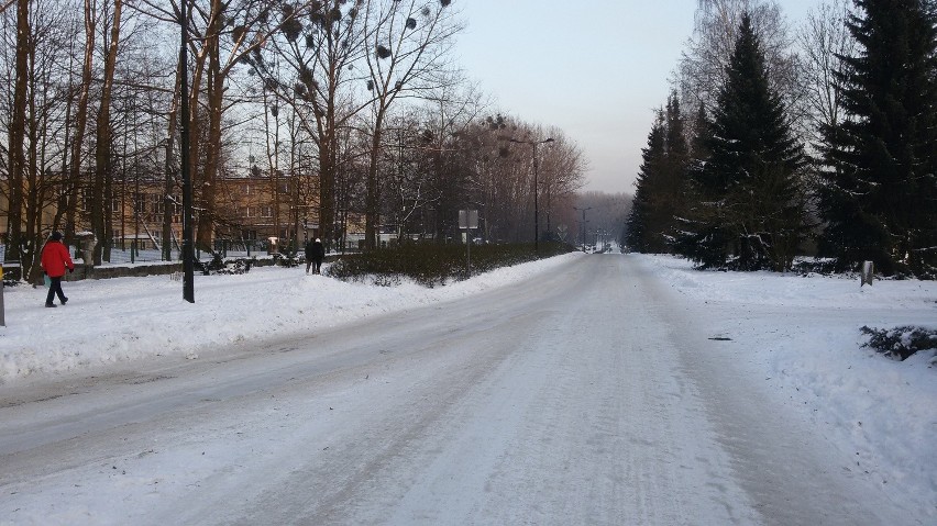 Park Śląski: Zimą jest tutaj pięknie. Zobaczcie ZDJĘCIA
