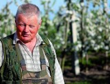 Łowickie jabłka trafiły do Rosji przez Rumunię