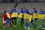 UEFA ukarała Litewski Związek Piłki Nożnej. Powód? Obraźliwe hasła kibiców rzucane pod adresem Władimira Putina