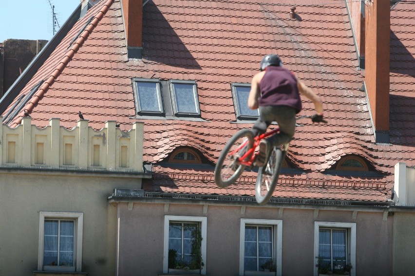 Wombat Dirt Jumping Cup w Wodzisławiu Śląskim [WIDEO, ZDJĘCIA]