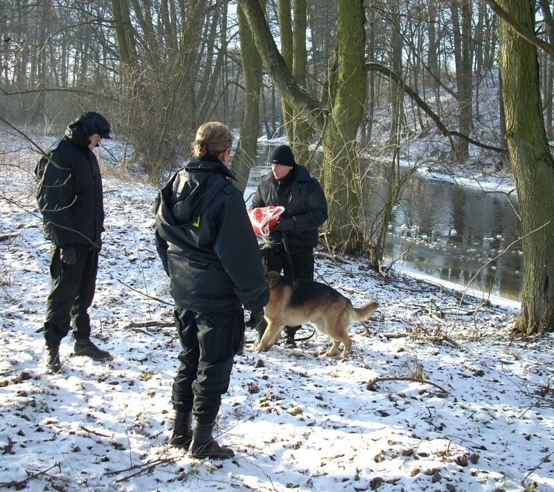 Policjanci przeszukali teren w pobliżu rzeki Pęzinki oraz...