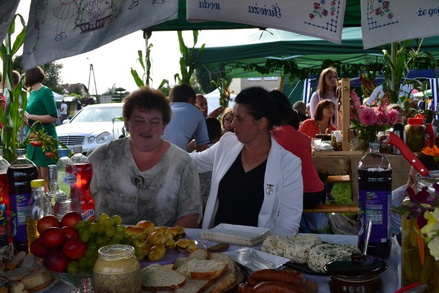 W powiecie bydgoskim w gminie Dobrcz nawałnica niewiele narobiła szkód. Na szczęście. Dlatego nie zrezygnowano - jak w Koronowie - z organizacji dożynek. Święto plonów odbyło się więc jak zawsze na boisku. Najpierw była msza św. w kościele, skąd barwnym korowodem wszyscy przeszli na stadion. Starościną dożynek była Anna Szymańka z Trzebienia, starostą Krzysztof Majka z Sienna. Towarzyszyły im dzieci: Weronika Grzywacz i Wiktor Fins. Dożynki były okazją do uhonorowania najlepszych rolników medalami „Zasłużony dla rolncictwa”. Otrzymali je: Anna Wesołowska z Wudzynka, Kazimierz Goryński z Suponina, Robert Jaszkowski z Wudzynka, Zbigniew Lizak z Włók, oraz Piotr Sławiński z Trzebienia. Grała m.in. orkiestra dęta, dla dzieci były dmuchane zamki i inne atrakcje. Dożynki zakończyły się zabawą taneczną.