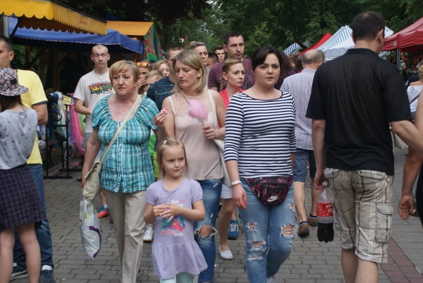 Drugi dzień Dni Dąbrowy Górniczej w Parku Hallera