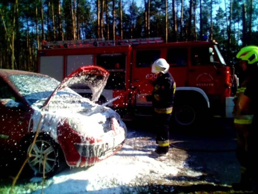 Pożar samochodu w Radoszycach [ZDJĘCIA]             
