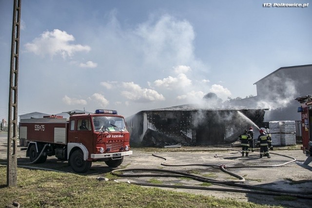 Pożar w Kłobuczynie gasiło siedem zastępów strażaków. Dach budynku został zniszczony