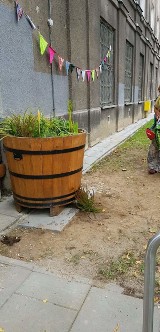 Kolejny ogród deszczowy powstał w Krakowie. Pomoże dbać o rośliny w trakcie suszy [ZDJĘCIA]