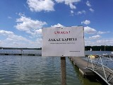 Tychy: Kąpielisko Paprocany jest zamknięte aż do odwołania. Powodem jest zakwit sinic, który powtarza się co roku o tej porze