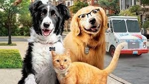 Zdjęcie z filmu ,,Psy i koty 3. Łapa w łapę"