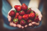Zalety jedzenia truskawek. Jaki wpływ na nasze zdrowie ma jedzenie truskawek? Polacy je uwielbiają! Sprawdź właściwości i korzyści 10.07.202