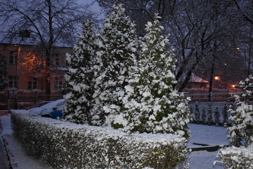  W Olkuszu i okolicy spadł pierwszy śnieg. Za oknami zrobiło się biało [ZDJĘCIA]