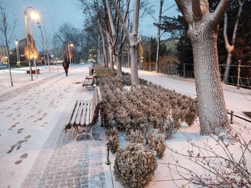 Śnieżyca we Wrocławiu. Nagła zmiana pogody i fatalna sytuacja na drogach Dolnego Śląska [ZDJĘCIA]