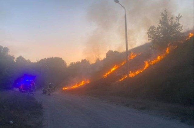W niedzielny wieczór, po godzinie 21, do straży pożarnej wpłynęła informacja o pożarze trawy przy ulicy Wilczy Młyn w Lubiczu Dolnym. Na miejsce przybyli strażacy z OSP Lubicz. Spaliła się trawa na nieużytkach na powierzchni około 200 metrów kwadratowych.