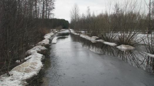 Nurt rzeki Bug porwał kobietę w Czarnowie (woj. mazowieckie)