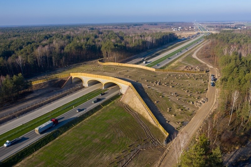 Przejście dla zwierząt nad drogą S17, na odcinku Kołbiel -...