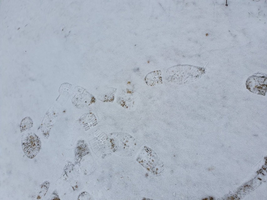 Ślady na śniegu doprowadziły wielickich policjantów do złodzieja roweru. To recydywista