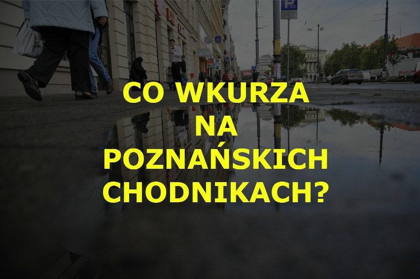 Każdy z nas ma okazję przemierzać poznańskie chodniki....