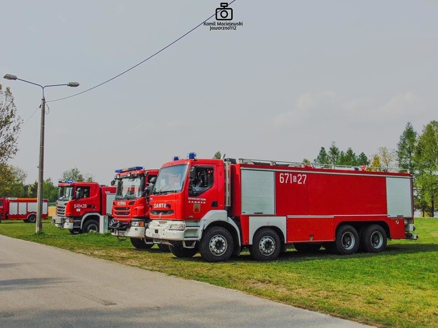 Strażacy gasili pożar lasu na Sosinie - ćwiczenia