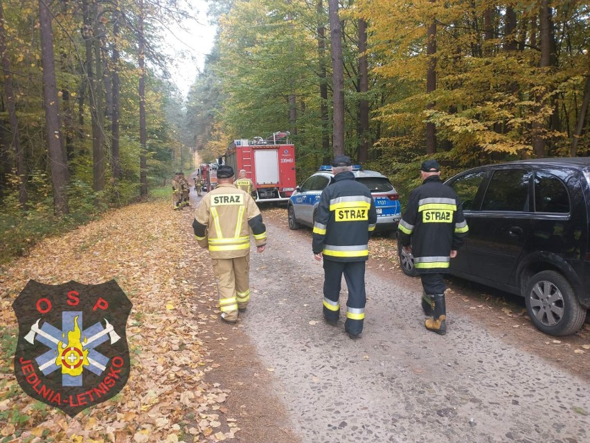 Strażacy podczas poszukiwać zaginionego mężczyzny.