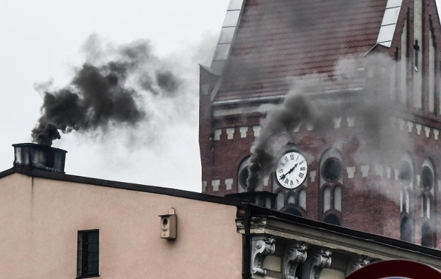 Polski Alarm Smogowy przedstawił nowy ranking miast z najbardziej rakotwórczym powietrzem w Polsce. Poprosiliśmy o zestawienie miast z naszego regionu, aby dowiedzieć się, w których miejscowościach w Kujawsko-Pomorskiem mamy najbardziej rakotwórcze powietrze.Kujawsko-pomorskich miast z najbardziej rakotwórczym powietrzem jest jedenaście. Rekordziści przekraczają dozwolone normy aż czterokrotnie!W których miastach kujawsko-pomorskiego powietrze jest najbardziej rakotwórcze? Sprawdź nowe dane Polskiego Alarmu Smogowego na kolejnych slajdach >>>>>