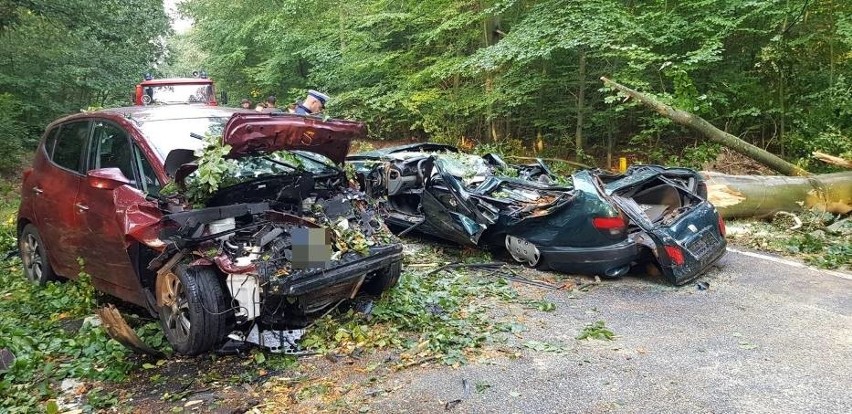 Straszny wypadek. Potężne drzewo zniszczyło samochody (ZDJĘCIA)