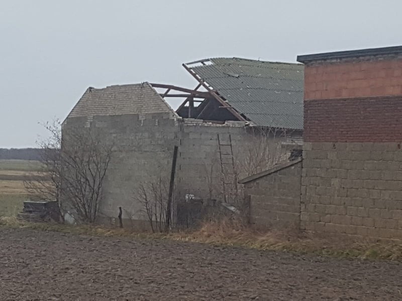 Orkan Eunice w Łodzi i regionie. Wiatr zrywa dachy, linie energetyczne i łamie gałęzie drzew