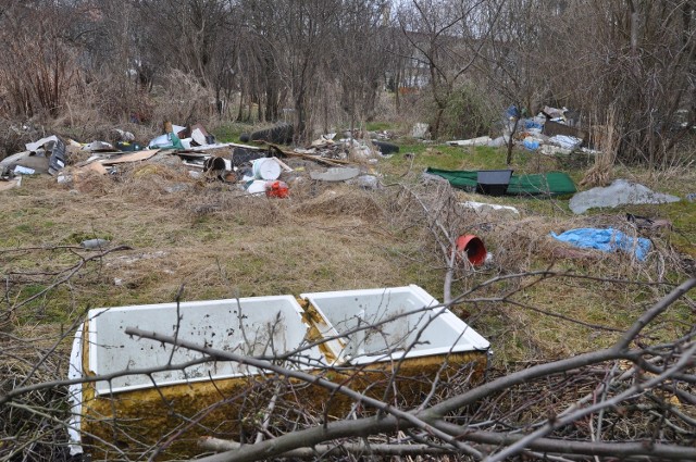 Opłakany widok działki znajdującej się między ulicą 1 Maja, rzeczką Niezdobną a byłym dworcem PKS.