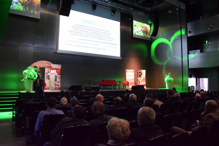 Zwalczenie ASF i specustawa na konferencji w Kielcach. Kluczowa redukcja dzików [ZDJĘCIA, WIDEO]