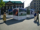 Galeria zdjęć z wystawy Yann Arthus-Bertrand w Poznaniu