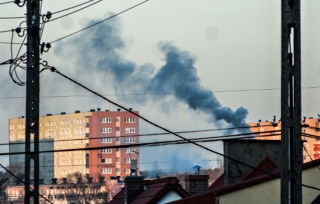 Wkrótce niemal każdego zimowego ranka nad naszymi miastami znów unosić się będą dymy tworzące smog.