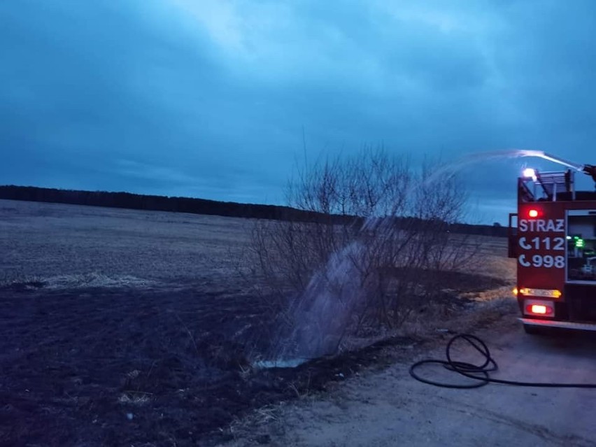 Powiat ostrołęcki. Kolejne pożary traw. Strażacy interweniowali w gminach Czarnia i Troszyn. 29-30.03.2022. Zdjęcia