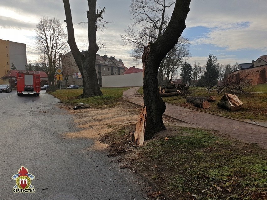 Kolizja tira z drzewem pod murami obronnymi w Byczynie.