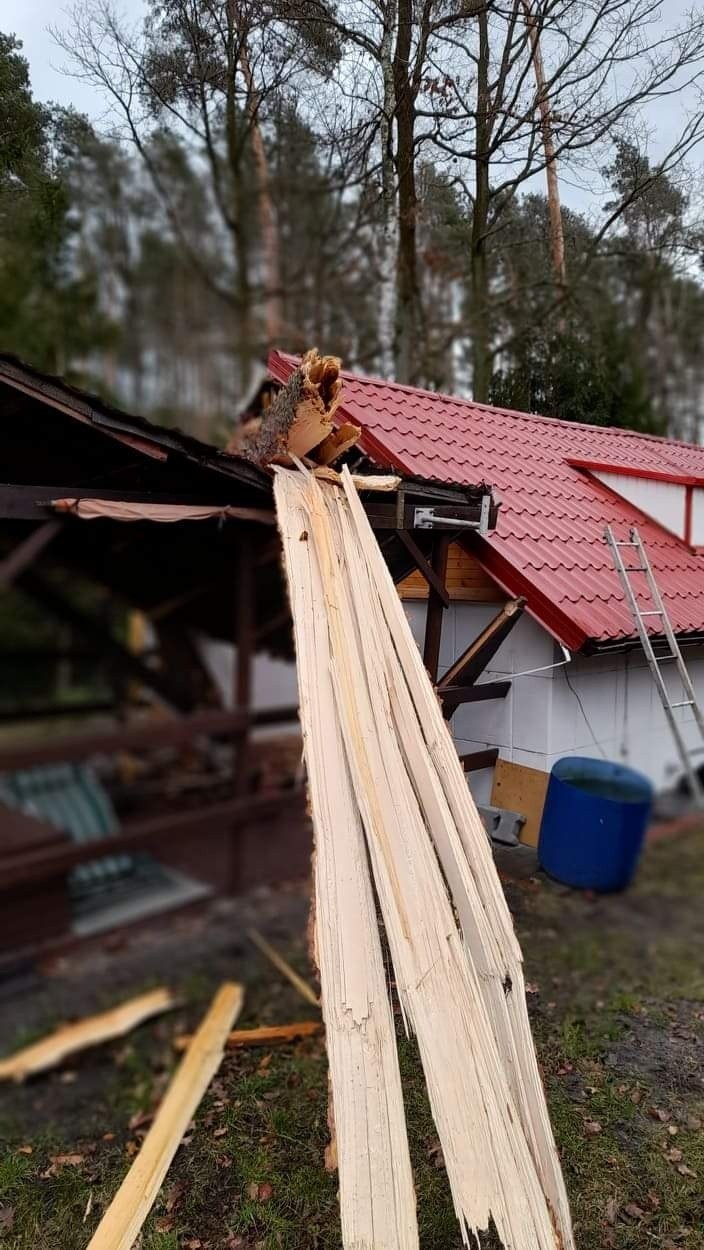 We wtorek (22 lutego) złamane drzewo spadło na domek...