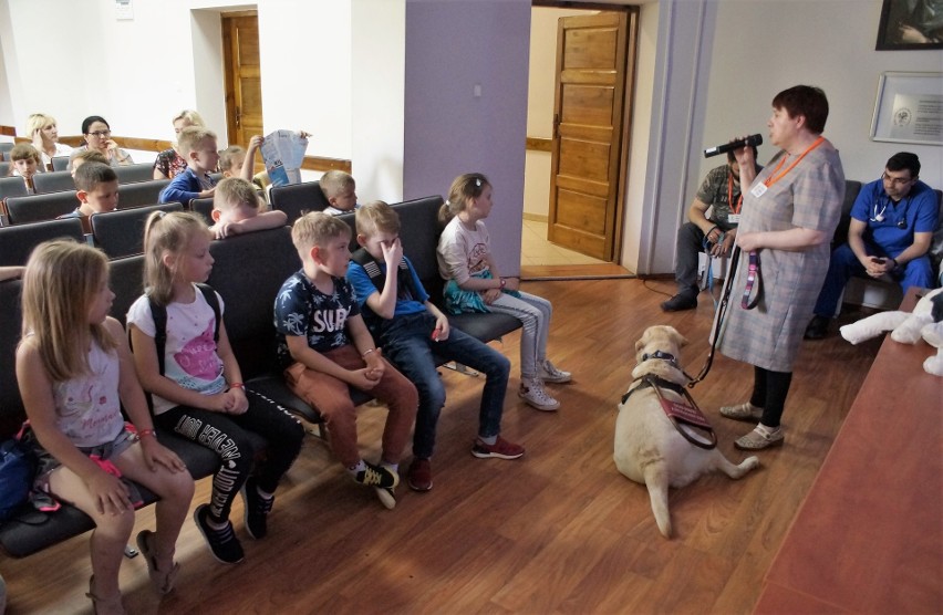 Podsumowano pierwszy, dwuletni etap działalności Społecznego...