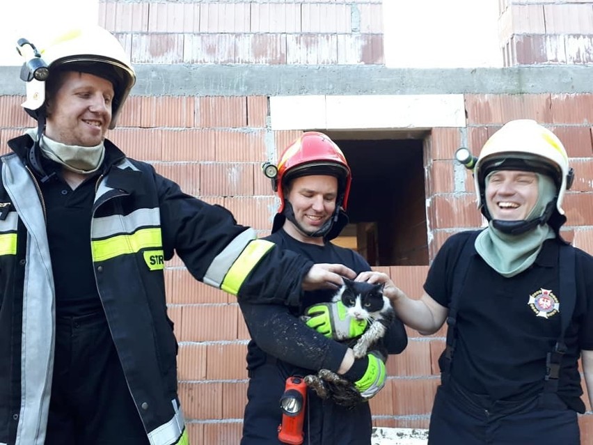 Strażacy z OSP Tyniec przez 6 godzin wyciągali kota z rury kanalizacyjnej
