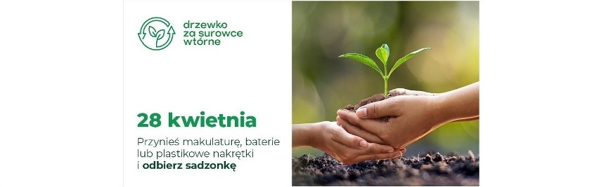 Akcja ekologiczna "Drzewko za surowce wtórne" w Starachowicach! Oddaj makulaturę, plastikowe nakrętki lub baterie i odbierz sadzonki