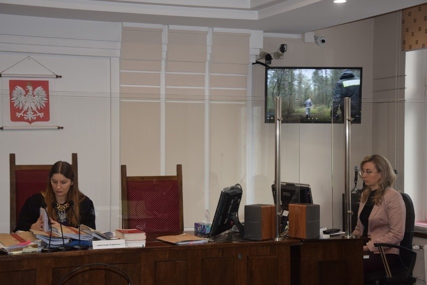 Koniec procesu w sprawie zabicia żubra w Dąbrównie. Prokurator chce dwóch lat więzienia dla głównego oskarżonego