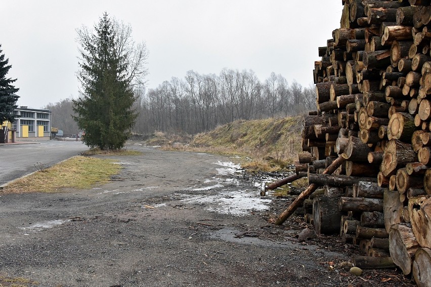 Miasto chce przygotować nowe tereny pod inwestycje 