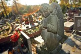 Puste groby na cmentarzach. Starsze osoby coraz częściej kupują pomniki za życia