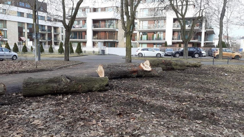 W parku na Cytadeli pojawiły się kłody blokujące wjazd...