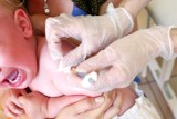 Naukowcy z Uniwersytetu Rzeszowskiego zbadają wpływ szczepień przeciw gruźlicy na zakażenia koronawirusem