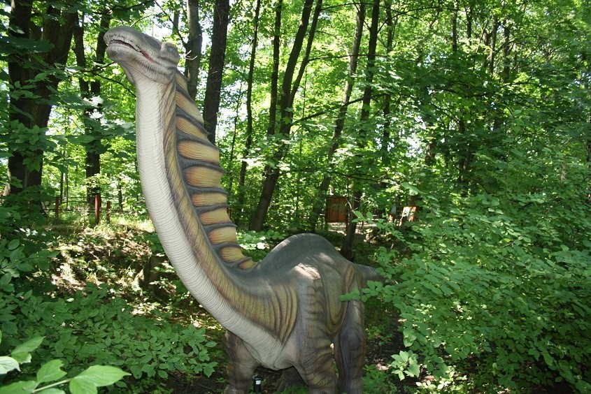 Zatorland w Zatorze pełen jest dinozaurów. Teraz można będzie zobaczyć je też nocą