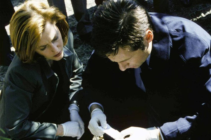 Z archiwum X - nowa seria? David Duchovny i Gillian Anderson...