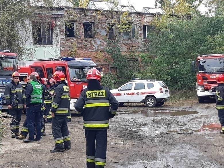 Częstochowa otrzymała środki na likwidację nielegalnego...