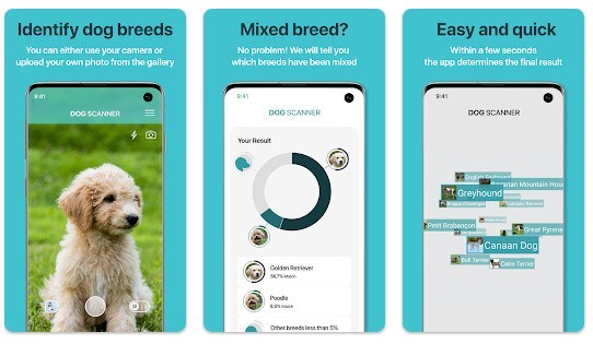 Aplikacja Dog Scanner niezawodnie zidentyfikuje rasę Twojego...