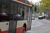 Gdańsk. Sezonowe linie autobusowe ruszą tydzień wcześniej niż w ubiegłym roku