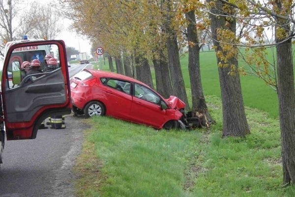 Ford zjechał z drogi i uderzył w drzewo.