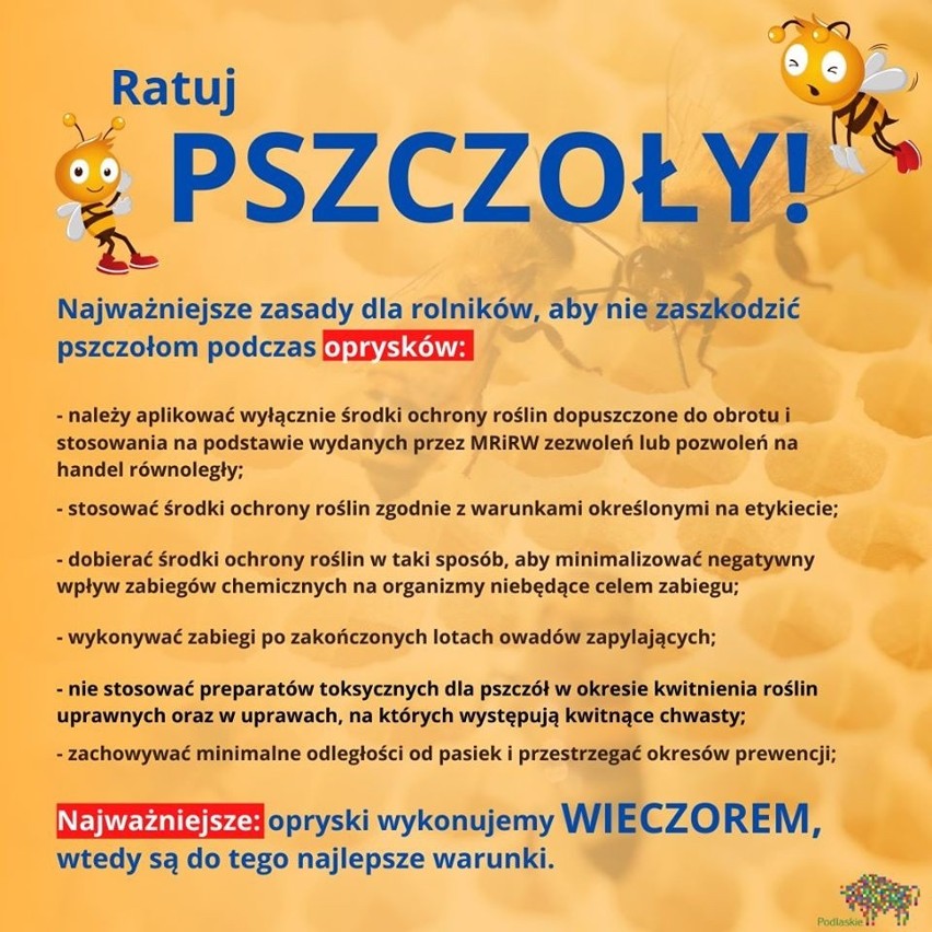 Współczesny pszczelarz królową ula zamawia przez internet (ZDJĘCIA)