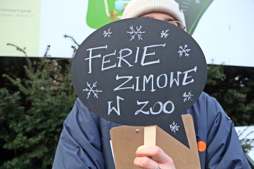 Zoo w Gdańsku podsumowuje początek roku. Sprawdźcie, co się działo!