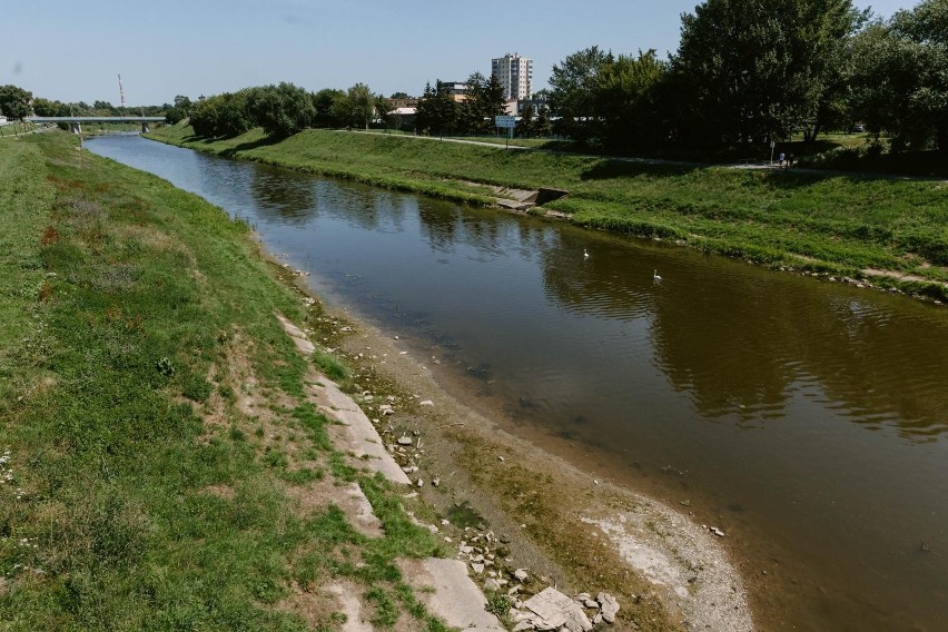 Rzeka Wisłok, 20 lipca 2022 r.